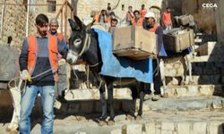 Mardin'de eşekle çöp toplamaya son
