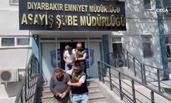 Diyarbakır’da hırsızlara ‘tırpan' operasyonu: 6 tutuklama