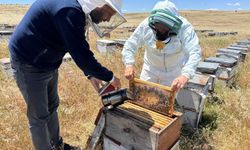 Volkanik Karacadağ için bin kilometre yoldan geliyorlar