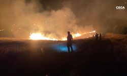 Ormanlık alanda yangın: 6 araçla müdahale edildi