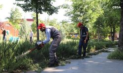 Yenişehir Millet Bahçesi’nde bakım