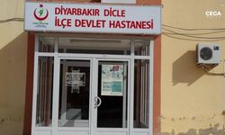 Diyarbakır’da başıboş köpekler bir kadını yaraladı