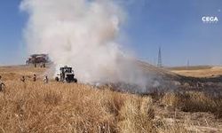 Cizre'de yıldırım, ekili alanlara zarar verdi