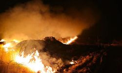 Suriye sınırında anız yangını: 7 köy etkilendi