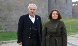 Diyarbakır Büyükşehir Belediyesi eski eşbaşkanı tahliye oldu