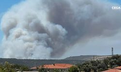 İzmir'de orman yangını