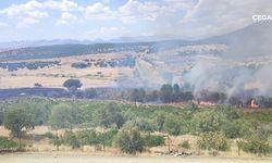 Diyarbakır Kulp’ta üzüm bağları yandı