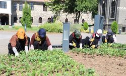 Diyarbakır'da 32 bin çiçek refüj ve kavşaklara dikildi