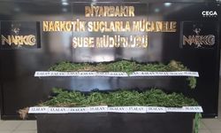 Diyarbakır'da uyuşturucu operasyonu: 800 kilo esrar ele geçirildi