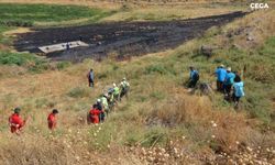 Dicle elektrik ekipleri Narin için seferber oldu