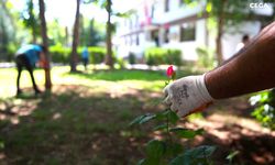 Diyarbakır'da kamu bahçeleri onların elinde güzelleşiyor