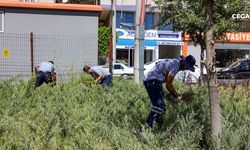 Diyarbakır’daki parklarda temizlik çalışmaları