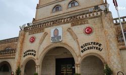 DEM Parti’den eşbaşkana disiplin soruşturması