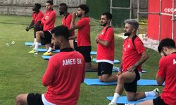 Yanal, "Liverpool’da ne varsa bugün Amedspor’da da o var"