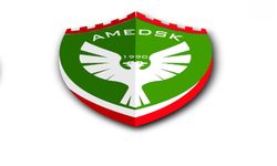 Elaldı, YİK’i Amedspor’da çift başlı yönetim ile suçladı