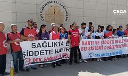 Diyarbakır’da sağlıkta şiddete karşı ortak açıklama