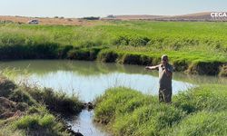 Harran Ovası'nda dev obruklar