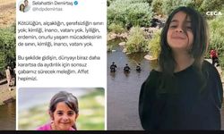 Demirtaş'tan Narin mesajı, "Affet hepimizi"