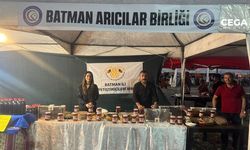 Batman'da şehr-i zor doğa, kültür ve turizm festivali