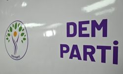 DEM Parti MYK’si kayyuma karşı İstanbul’da toplanıyor