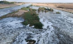 Dicle Nehri’nden alınan numuneler temiz çıktı