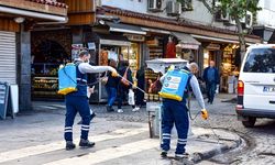 Diyarbakır’da ilaçlama çalışmaları sürüyor