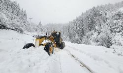 Karadeniz'de kar ve heyelan: Köy yolları kapandı