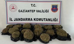 Otobüste 18.5 kilo skunk ele geçirildi