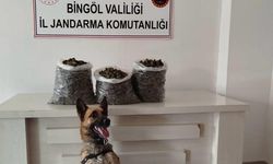 Bingöl'de uyuşturucu operasyonu: 4,5 kilo esrar ele geçirildi