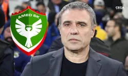 Amedspor'da Ersun Yanal'ın uyarılmasını isteyecekler