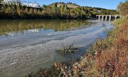 Dicle Nehri’nde korkutan tablo