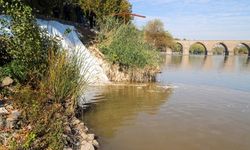 Dicle Nehri’ni kirleten işletmelere yasal işlem uygulandı