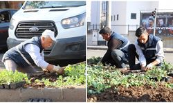 Diyarbakır’da 1 milyon çiçek toprakla buluşuyor