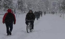 Lapa lapa kar yağdı, Meteoroloji'den uyarı geldi