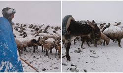 Yayla yollarında kar esareti