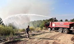 Hatay’da orman yangını