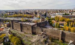 Diyarbakır'da belediye 50 bin adet dağıtacak