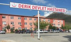 Derik'te otomobil devrildi, 7 yaralı var