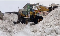 Karlıova'da yılın son gününde kar manzarası