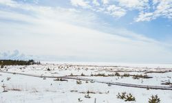 Sibirya-ABD arasındaki köprü göründüğü gibi değilmiş!