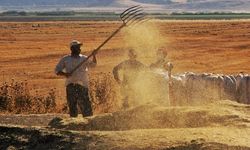 Tarımsal girdi fiyat endeksi yıllık yüzde 32,59 arttı