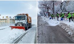 Van’da karla mücadele seferberliği