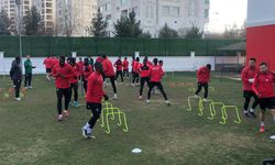 Amedspor, disiplin kuruluna sevk edildi