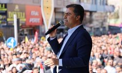 Eşbaşkan Abdullah Zeydan’ın duruşması ertelendi