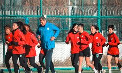 Amedspor kötü gidişi durduramıyor