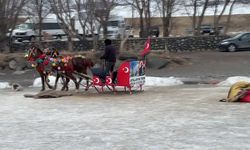 Ardahan'da kar ve soğuk hava