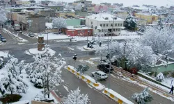 Bakanlık onay verdi, Diyarbakır'da kurulacak