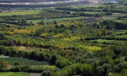 DİTAM'dan “Sivil toplumun gözünden yerel seçimlerden bugüne belediye faaliyetleri”