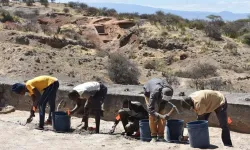 Yeni bir araştırma insan atalarıyla ilgili bilinenleri altüst etti