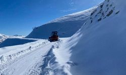 Kardan kapanan yollar ulaşıma açıldı